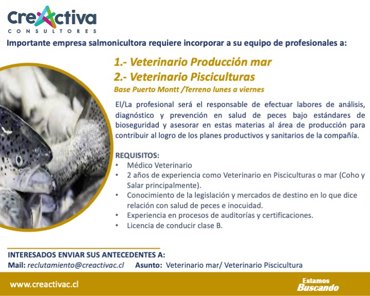 Veterinario